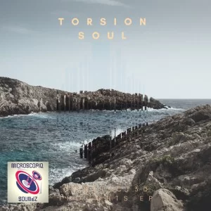 Torsion Soul, Conflict3D Thoughts, download ,zip, zippyshare, fakaza, EP, datafilehost, album, Afro House 2018, Afro House Mix, Afro House Music