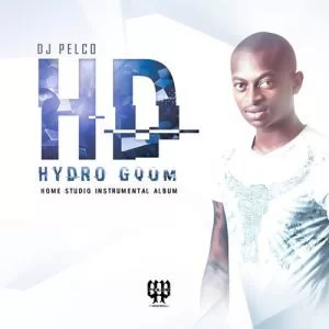 Dj Pelco, Hydro Gqom, download ,zip, zippyshare, fakaza, EP, datafilehost, album, Gqom Beats, Gqom Songs, Gqom Music