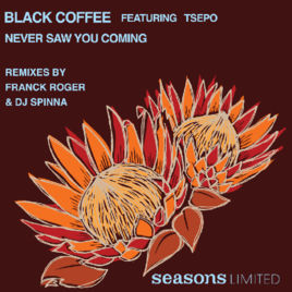 Black Coffee, Never Saw You Coming, download ,zip, zippyshare, fakaza, EP, datafilehost, album, Afro House, Afro House 2018, Afro House Mix, Afro House Music, House Music