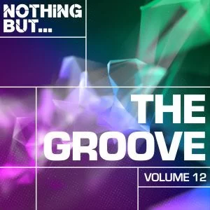 VA, Nothing But The Groove Vol 12, download ,zip, zippyshare, fakaza, EP, datafilehost, album, Afro House, Afro House 2018, Afro House Mix, Afro House Music, House Music