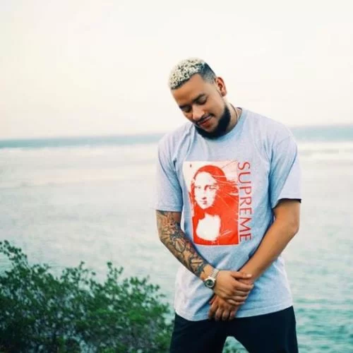 AKA, 2019 Untitled (Sample), mp3, download, datafilehost, fakaza, Hiphop, Hip hop music, Hip Hop Songs, Hip Hop Mix, Hip Hop, Rap, Rap Music
