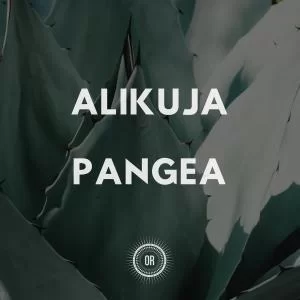 Alikuja , The Scientist Yaaquub, mp3, download, datafilehost, fakaza, Afro House, Afro House 2019, Afro House Mix, Afro House Music, Afro Tech, House Music