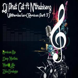 DJ Phat Cat, Ulithemba lam (MusiQ Lab Remix), Nthabiseng, mp3, download, datafilehost, fakaza, Afro House, Afro House 2019, Afro House Mix, Afro House Music, Afro Tech, House Music