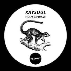 KaySoul, The Prosimians, Afro House, Afro House 2019, Afro House Mix, Afro House Music, Afro Tech, House Music, download ,zip, zippyshare, fakaza, EP, datafilehost, album
