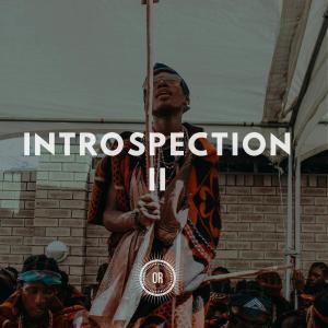 VA , Introspection Part Il, download ,zip, zippyshare, fakaza, EP, datafilehost, album, Afro House, Afro House 2019, Afro House Mix, Afro House Music, Afro Tech, House Music