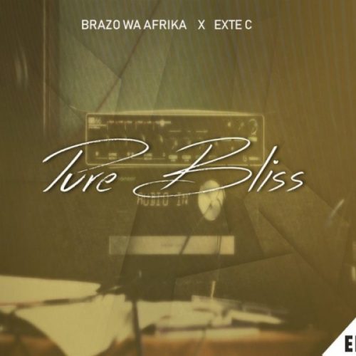 Brazo Wa Afrika, Exte C, Pure Bliss, mp3, download, datafilehost, fakaza, Afro House, Afro House 2019, Afro House Mix, Afro House Music, Afro Tech, House Music