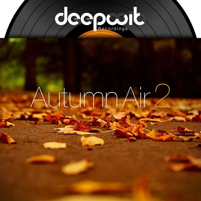 DeepWit Recordings, Autumn Air Vol. 2, download ,zip, zippyshare, fakaza, EP, datafilehost, album, Deep House Mix, Deep House, Deep House Music, Deep Tech, Afro Deep Tech, House Music