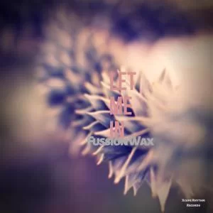 Fussion Wax, Let Me In, mp3, download, datafilehost, fakaza, Afro House, Afro House 2019, Afro House Mix, Afro House Music, Afro Tech, House Music