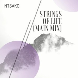 Ntsako, Strings Of Life, Main Mix, mp3, download, datafilehost, fakaza, Afro House, Afro House 2019, Afro House Mix, Afro House Music, Afro Tech, House Music