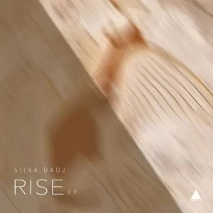 Silva DaDj, Angry Pad, Original Mix, mp3, download, datafilehost, fakaza, Afro House, Afro House 2019, Afro House Mix, Afro House Music, Afro Tech, House Music