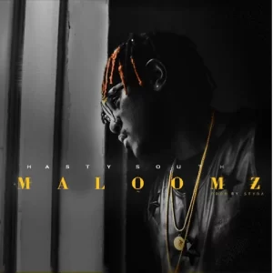 Hasty South ,Maloomz, mp3, download, datafilehost, fakaza, Hiphop, Hip hop music, Hip Hop Songs, Hip Hop Mix, Hip Hop, Rap, Rap Music