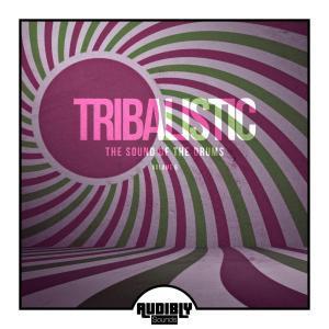 Tribalistic, Vol. 6, The Sound Of The Drums, download ,zip, zippyshare, fakaza, EP, datafilehost, album, Afro House, Afro House 2019, Afro House Mix, Afro House Music, Afro Tech, House Music