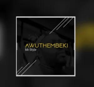 MR STYLE , AWUTHEMBEKI, mp3, download, datafilehost, fakaza, Afro House, Afro House 2019, Afro House Mix, Afro House Music, Afro Tech, House Music