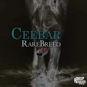 Ceebar, RareBreed, download ,zip, zippyshare, fakaza, EP, datafilehost, album, Afro House, Afro House 2019, Afro House Mix, Afro House Music, Afro Tech, House Music