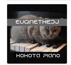 Euginethedj, Kokota Piano, mp3, download, datafilehost, fakaza, Afro House, Afro House 2019, Afro House Mix, Afro House Music, Afro Tech, House Music