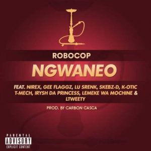 Robocop, Ngwaneo, Skebz D, Lemeke Wa Mochine, LTweety, Gee Flaggz, Lu Srenk, K-Otic, Irysh Da Princess, Nirex, T-Mech e 2019, Afro House Mix, Afro House Music, Afro Tech, House Music