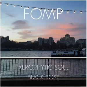 Xerophytic Soul, Black Rose, Original Mix, mp3, download, datafilehost, fakaza, Afro House, Afro House 2019, Afro House Mix, Afro House Music, Afro Tech, House Music