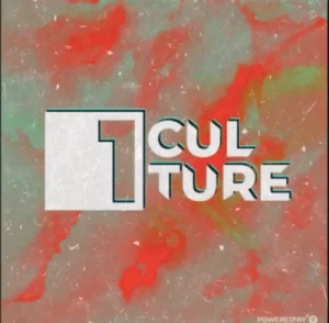 DJ Bruno Tuga , The Evolution, Original Mix, DJ Lau Virilha, mp3, download, datafilehost, fakaza, Afro House, Afro House 2019, Afro House Mix, Afro House Music, Afro Tech, House Music