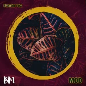 DJ Flaton Fox, MOD, download ,zip, zippyshare, fakaza, EP, datafilehost, album, Afro House, Afro House 2019, Afro House Mix, Afro House Music, Afro Tech, House Music