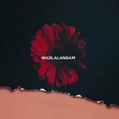 Flex Rabanyan – Wadlala Ngam’ (Xoli) Ft. Bhuga Bhengu, Flex Rabanyan, Wadlala Ngam’ (Xoli), Bhuga Bhengu, mp3, download, mp3 download, cdq, 320kbps, audiomack, dopefile, datafilehost, toxicwap, fakaza, mp3goo