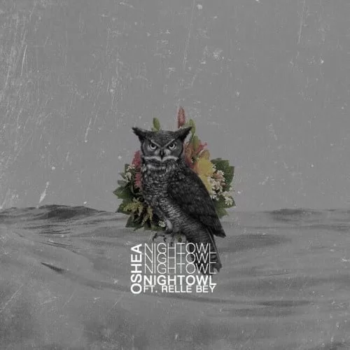 OSHEA – NIGHTOWL (FT. RELLE BEY), OSHEA, NIGHTOWL, RELLE BEY, mp3, download, mp3 download, cdq, 320kbps, audiomack, dopefile, datafilehost, toxicwap, fakaza, mp3goo