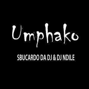 Sbucardo Da DJ & Dj Ndile – Umphako, Sbucardo Da DJ, Dj Ndile, Umphako, mp3, download, mp3 download, cdq, 320kbps, audiomack, dopefile, datafilehost, toxicwap, fakaza, mp3goo,