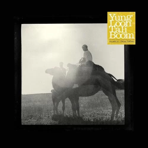 Youngstacpt – Yungloon Taliboom [ALBUM], Youngstacpt, Yungloon Taliboom, ALBUM, mp3, download, mp3 download, cdq, 320kbps, audiomack, dopefile, datafilehost, toxicwap, fakaza, mp3goo, zip, alac, zippy, album