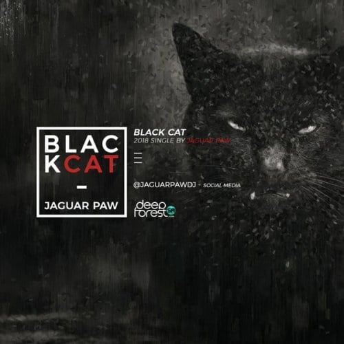Jaguar Paw – Black Cat (Original Mix), Jaguar Paw, Black Cat, Original Mix, mp3, download, mp3 download, cdq, 320kbps, audiomack, dopefile, datafilehost, toxicwap, fakaza, mp3goo