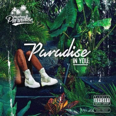 PalmTree Paradise – Paradise In You [ALBUM], PalmTree Paradise, Paradise In You, download, cdq, 320kbps, audiomack, dopefile, datafilehost, toxicwap, fakaza, mp3goo zip, alac, zippy, album