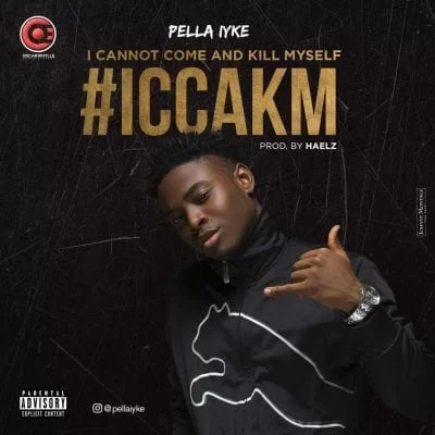 Pella Iyke – I Cannot Come And Kill Myself (Gqom Mix), Pella Iyke, I Cannot Come And Kill Myself, Gqom Mix, mp3, download, mp3 download, cdq, 320kbps, audiomack, dopefile, datafilehost, toxicwap, fakaza, mp3goo