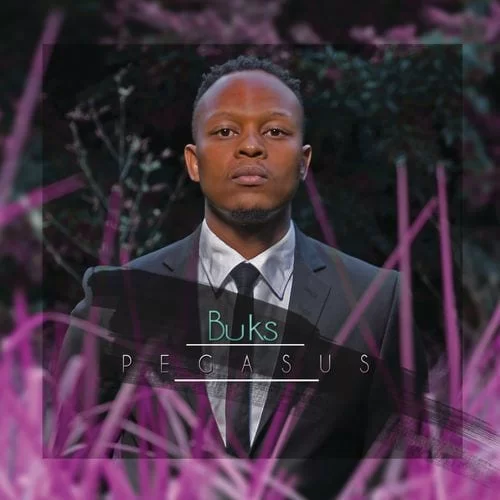 Buks – Pegasus, Buks, Pegasus, mp3, download, mp3 download, cdq, 320kbps, audiomack, dopefile, datafilehost, toxicwap, fakaza, mp3goo