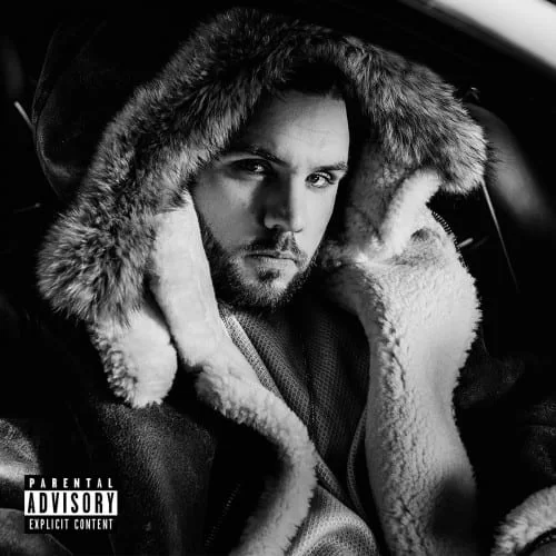 Fler - Flizzy (Premium Edition), Fler, Flizzy (Premium Edition), download, cdq, 320kbps, audiomack, dopefile, datafilehost, toxicwap, fakaza, mp3goo zip, alac, zippy, album
