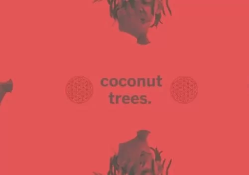 J.S.K XXVI – Coconut Trees, J.S.K XXVI, Coconut Trees, mp3, download, mp3 download, cdq, 320kbps, audiomack, dopefile, datafilehost, toxicwap, fakaza, mp3goo