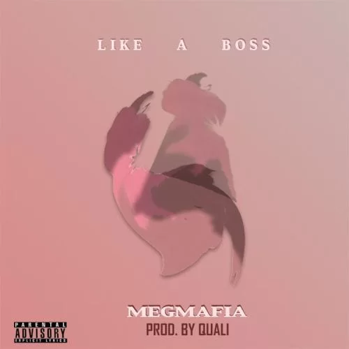 MegMafia – Like A Boss, MegMafia, Like A Boss, mp3, download, mp3 download, cdq, 320kbps, audiomack, dopefile, datafilehost, toxicwap, fakaza, mp3goo