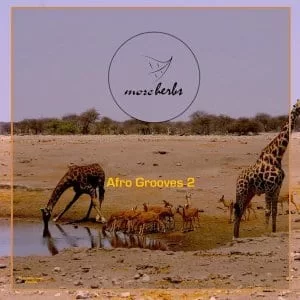 Various Artistes, Afro Grooves 2, download ,zip, zippyshare, fakaza, EP, datafilehost, album, Afro House, Afro House 2019, Afro House Mix, Afro House Music, Afro Tech, House Music