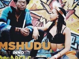 Mshudu – Amabele (Original Mix) Ft. Inno, Mshudu, Amabele (Original Mix), Inno, mp3, download, mp3 download, cdq, datafilehost, toxicwap, fakaza