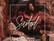 Shekhinah – Suited (SynX Remix) Ft. Mr Eazi, Shekhinah, Suited (SynX Remix), Mr Eazi, mp3, download, mp3 download, cdq, 320kbps, audiomack, dopefile, datafilehost, toxicwap, fakaza, mp3goo