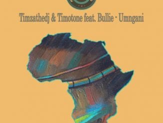 Timzathedj, Timotone – Umngani Ft. Bullie (Original Mix), Timzathedj, Timotone, Umngani, Bullie (Original Mix), mp3, download, mp3 download, cdq, 320kbps, audiomack, dopefile, datafilehost, toxicwap, fakaza, mp3goo