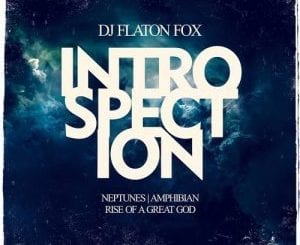 DJ Flaton Fox – Amphibian (Original Mix), DJ Flaton Fox, Amphibian (Original Mix), mp3, download, mp3 download, cdq, 320kbps, audiomack, dopefile, datafilehost, toxicwap, fakaza, mp3goo