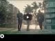 VIDEO: Donald – Standing Ovation Ft. Floda, DreamTeam, VIDEO, Donald, Standing Ovation, Floda, DreamTeam, mp3, download, mp3 download, cdq, 320kbps, audiomack, dopefile, datafilehost, toxicwap, fakaza, mp3goo