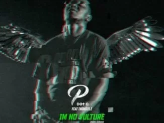 PdotO – I’m No Vulture Ft. Thokozile, PdotO, I’m No Vulture, Thokozile, mp3, download, mp3 download, cdq, 320kbps, audiomack, dopefile, datafilehost, toxicwap, fakaza, mp3goo