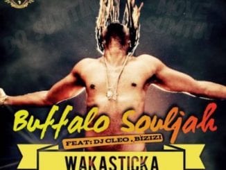 Buffalo Souljah – Wakasticka Ft. DJ Cleo & Bizizi, Buffalo Souljah, Wakasticka, DJ Cleo, Bizizi, mp3, download, mp3 download, cdq, datafilehost, toxicwap, fakaza