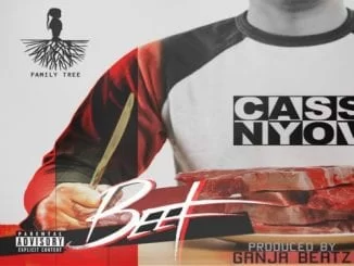Cassper Nyovest – Beef, Cassper Nyovest, Beef, mp3, download, mp3 download, cdq, 320kbps, audiomack, dopefile, datafilehost, toxicwap, fakaza, mp3goo