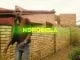Chad Da Don, Korobela, BonafideBilli, Video, mp3, download, datafilehost, toxicwap, fakaza