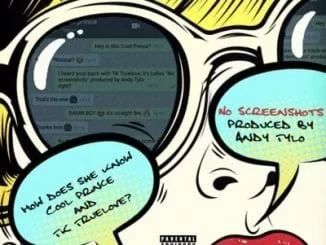 Cool Prince, No Screenshots,TK Truelove, mp3, download, datafilehost, toxicwap, fakaza