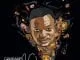DJ Ganyani – Ganyani’s House Grooves 10, DJ Ganyani, Ganyani’s House Grooves 10, download, cdq, 320kbps, audiomack, dopefile, datafilehost, toxicwap, fakaza, mp3goo ,zip, alac, zippy, album