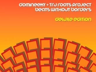 Domineeky & Tru Roots Project – Soweto Groove (Original Mix), Domineeky, Tru Roots Project, Soweto Groove, Original Mix, mp3, download, mp3 download, cdq, 320kbps, audiomack, dopefile, datafilehost, toxicwap, fakaza, mp3goo