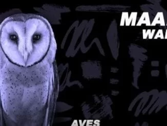 Maako – Wakan, Maako, Wakan, mp3, download, mp3 download, cdq, 320kbps, audiomack, dopefile, datafilehost, toxicwap, fakaza, mp3goo