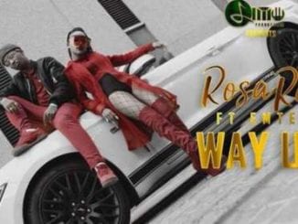 Rosa Ree, Way Up, Emtee, mp3, download, datafilehost, toxicwap, fakaza