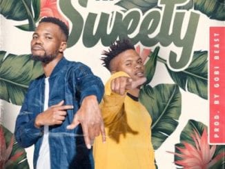 TLT – Sweety, TLT, Sweety, mp3, download, mp3 download, cdq, 320kbps, audiomack, dopefile, datafilehost, toxicwap, fakaza, mp3goo